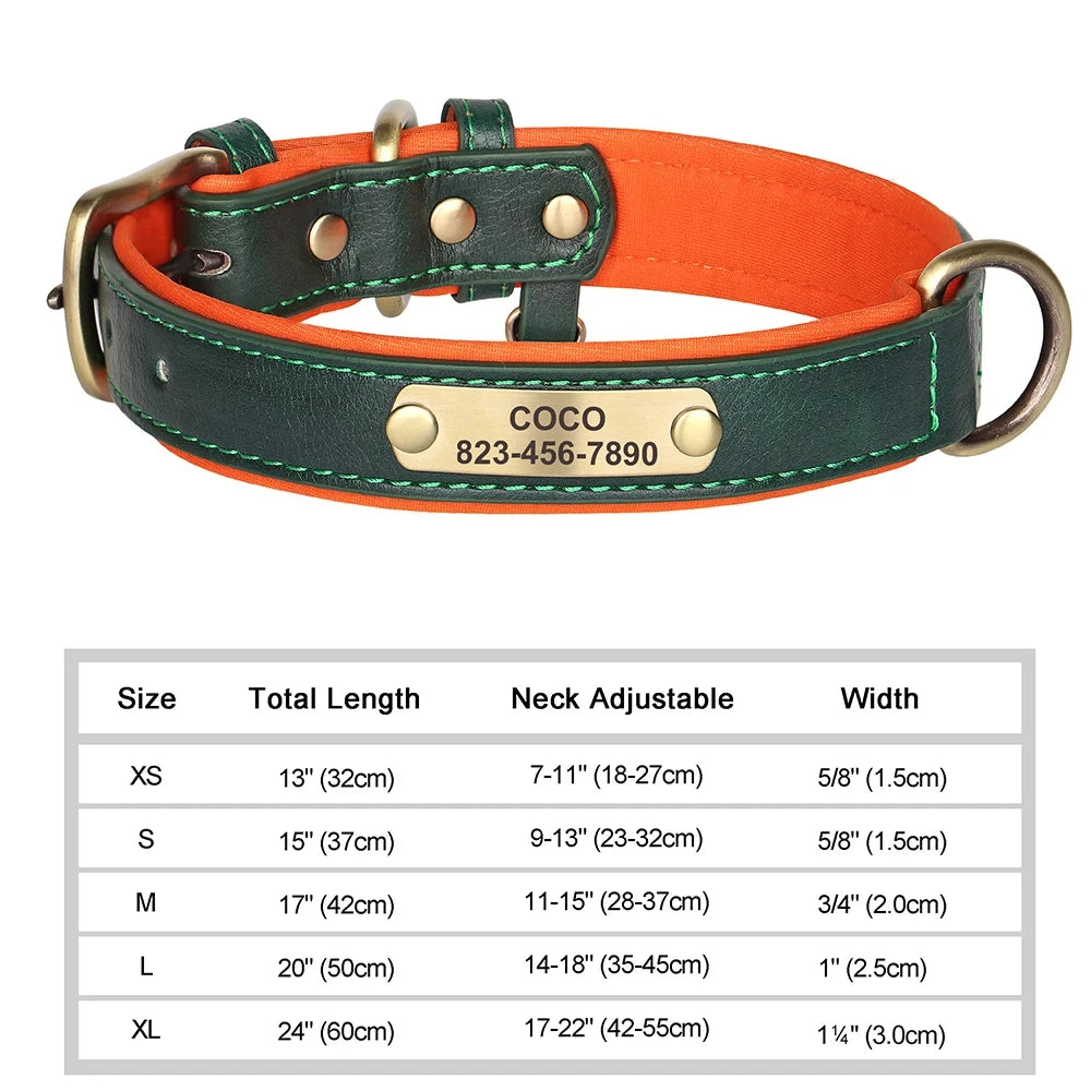 Collar de Cuero Personalizado para Perro | Placa Grabada Gratis | AmaDog