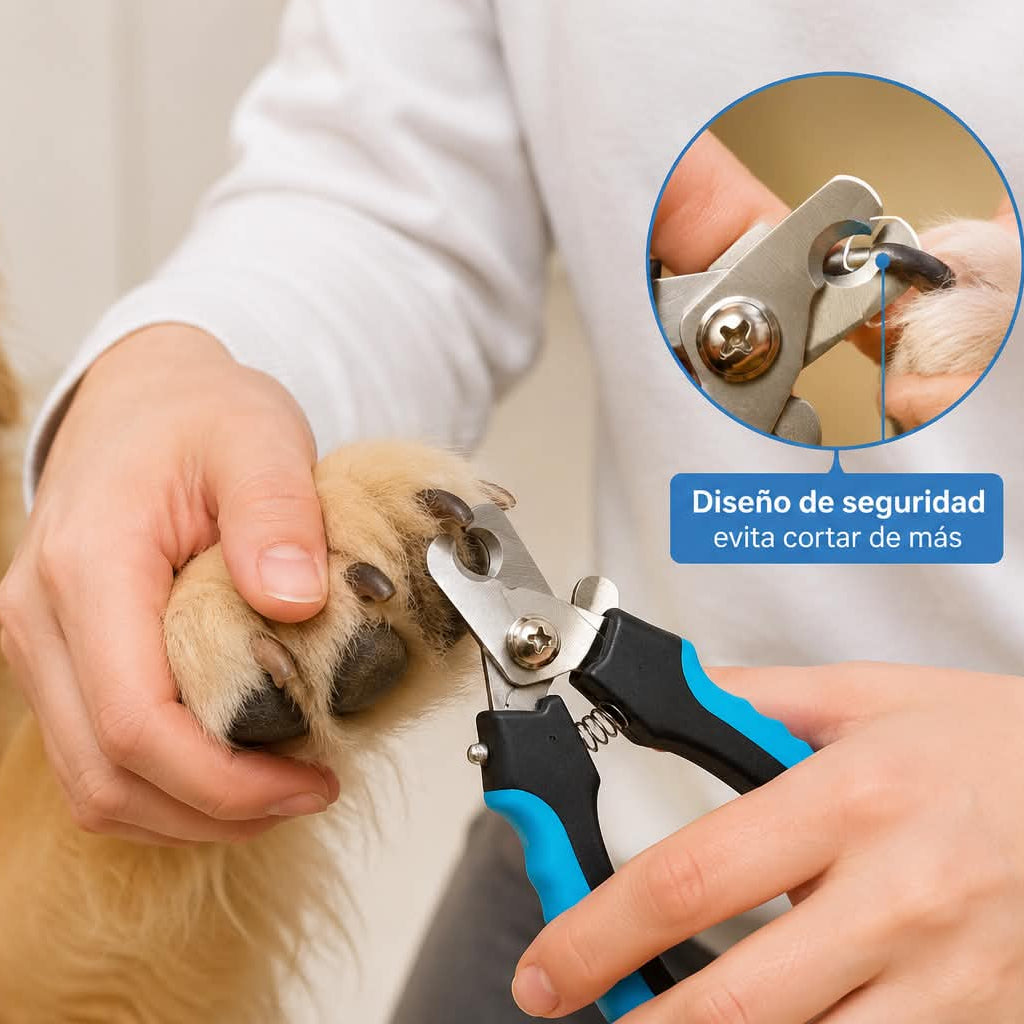 Persona utilizando un cortaúñas profesional con seguro de seguridad para cortar las uñas de un perro de forma segura.
