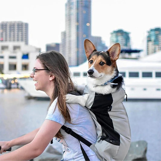 Mochila Transportadora para Perros | Transpirable y Cómoda | AmaDog