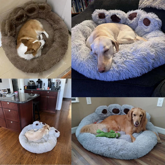 Perros disfrutando de su comodidad en su Cama De Felpa y algodón se muestra en varios colores y tamaños.