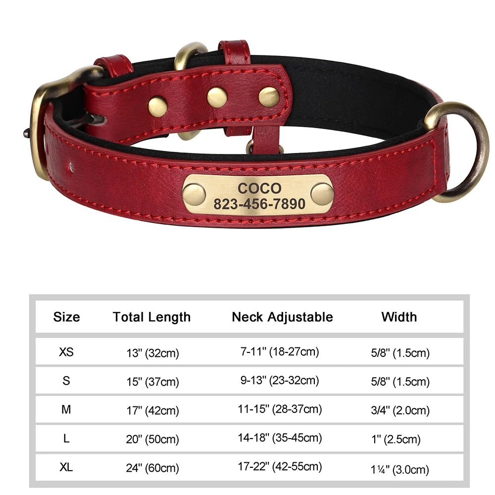 Collar de Cuero Personalizado para Perro | Placa Grabada Gratis | AmaDog