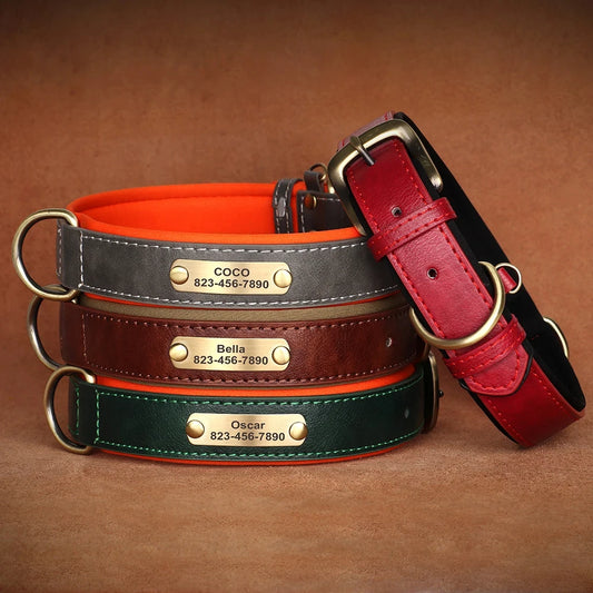 Collar de Cuero Personalizado para Perro | Placa Grabada Gratis | AmaDog