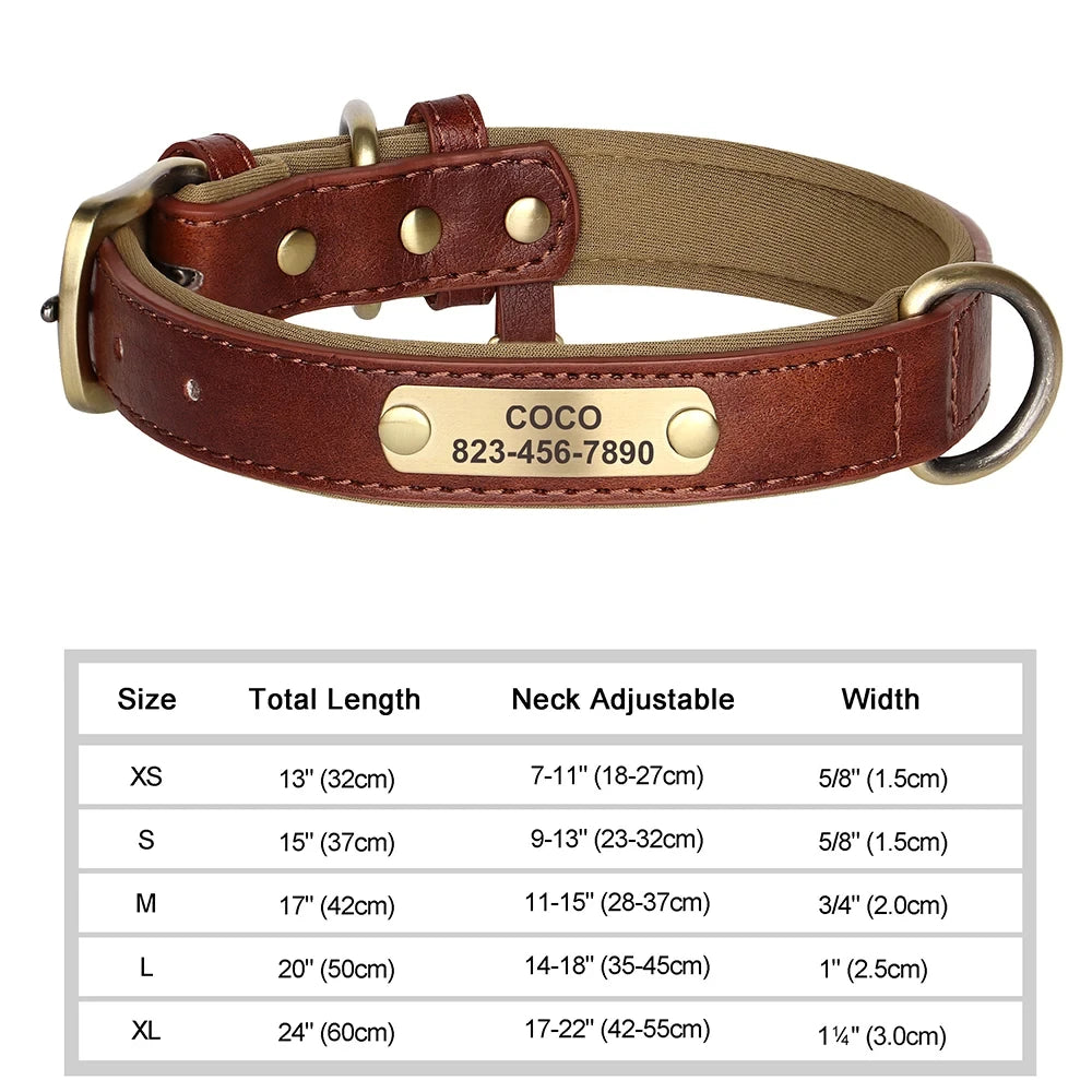 Collar de Cuero Personalizado para Perro | Placa Grabada Gratis | AmaDog