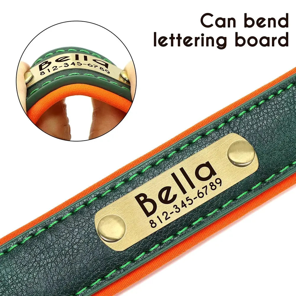 Collar de Cuero Personalizado para Perro | Placa Grabada Gratis | AmaDog