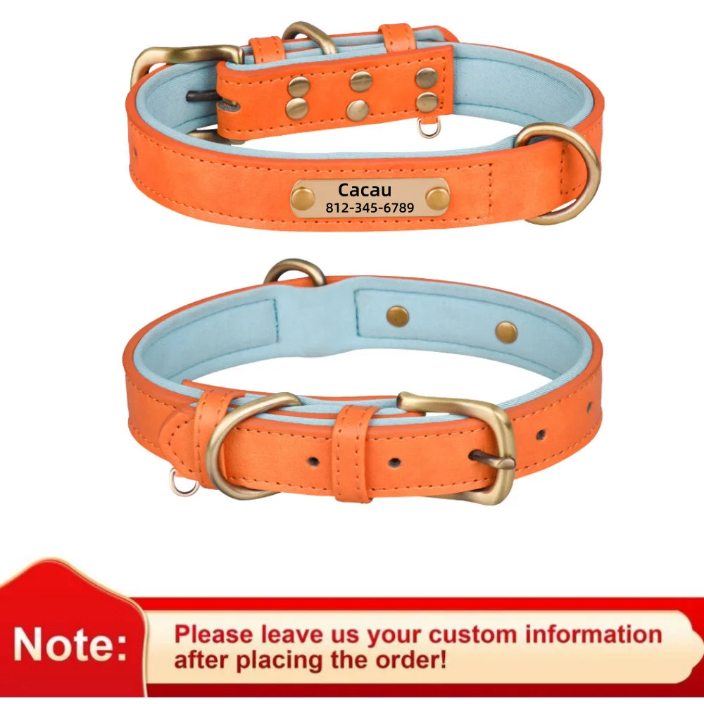 Collar de Cuero Personalizado para Perro | Placa Grabada Gratis | AmaDog