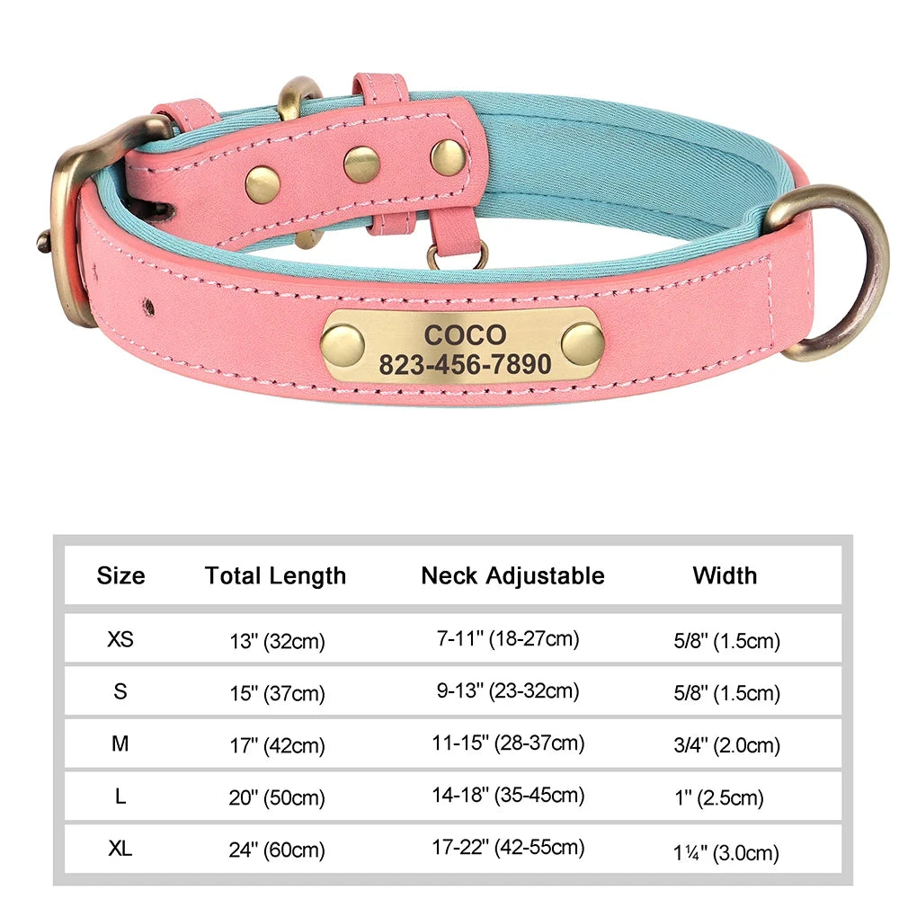 Collar de Cuero Personalizado para Perro | Placa Grabada Gratis | AmaDog