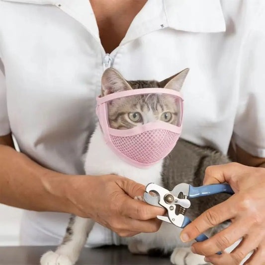Gato usando un bozal transparente rosado mientras una persona le corta las uñas.