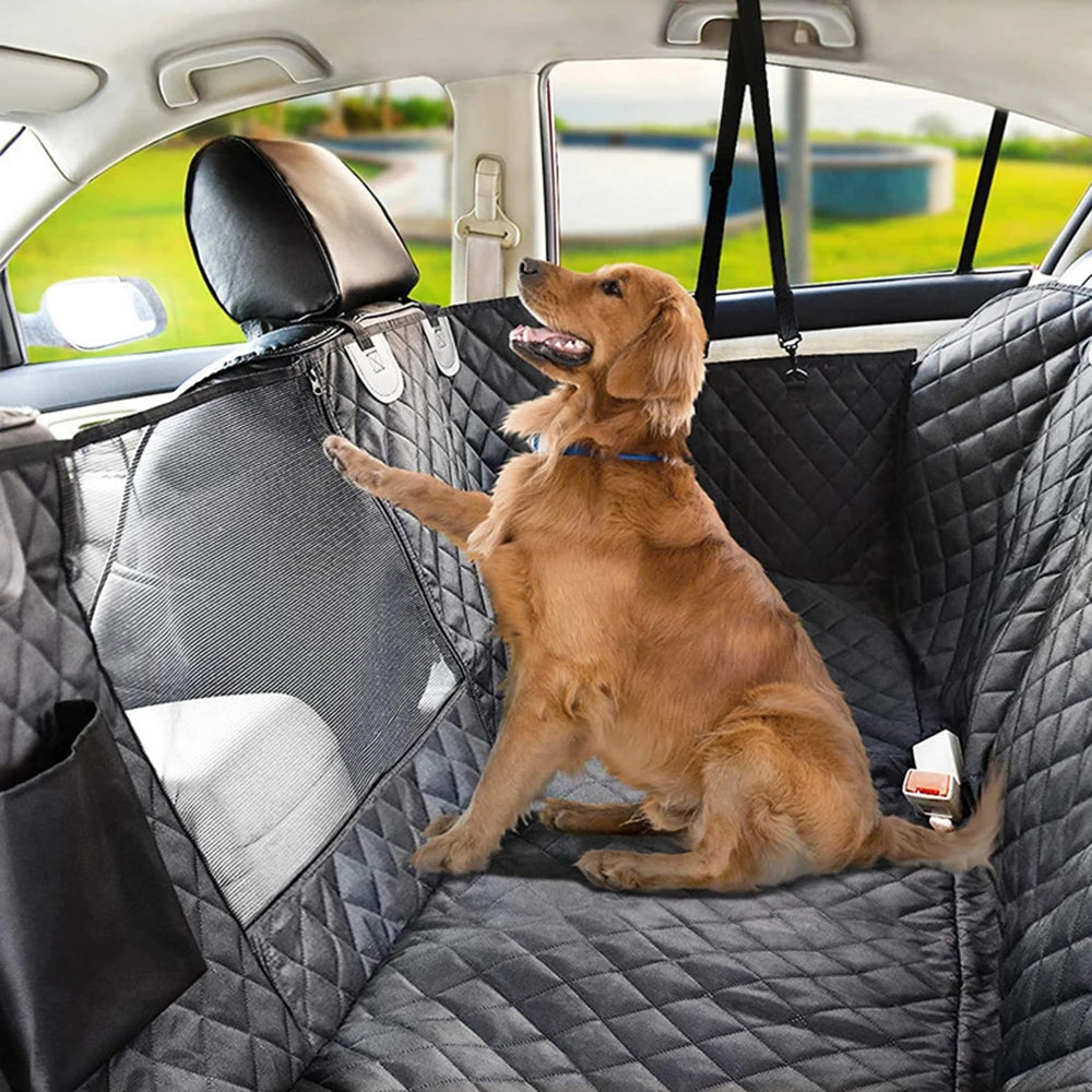 Golden retriever disfrutando el viaje en hamaca antideslizante para asiento trasero de carro
