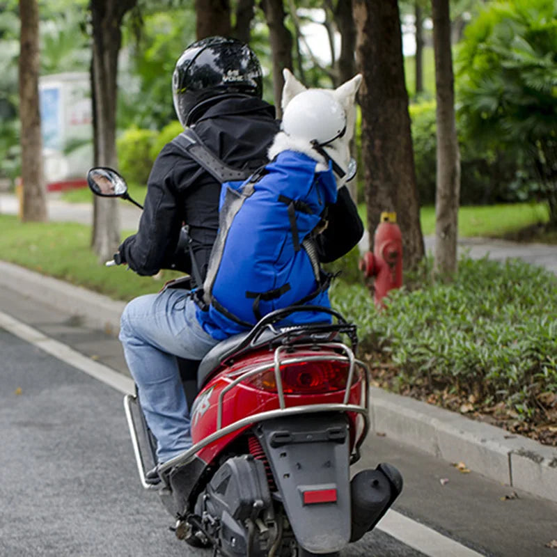 Mochila Transportadora para Perros | Transpirable y Cómoda | AmaDog